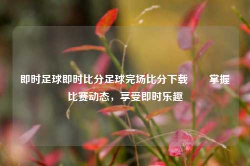 即时足球即时比分足球完场比分下载✌️掌握比赛动态，享受即时乐趣