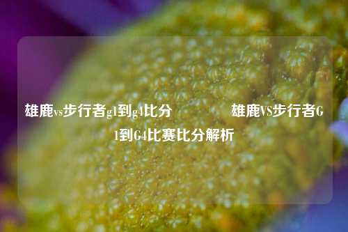 雄鹿vs步行者g1到g4比分👉雄鹿VS步行者G1到G4比赛比分解析
