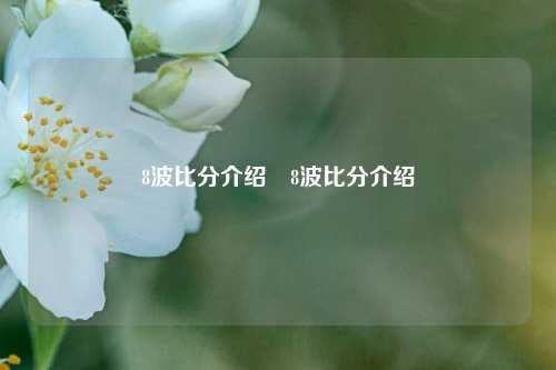 8波比分介绍⚾8波比分介绍