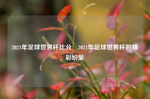 2021年足球世界杯比分⚾2021年足球世界杯的精彩纷呈