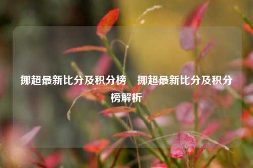 挪超最新比分及积分榜⚽挪超最新比分及积分榜解析