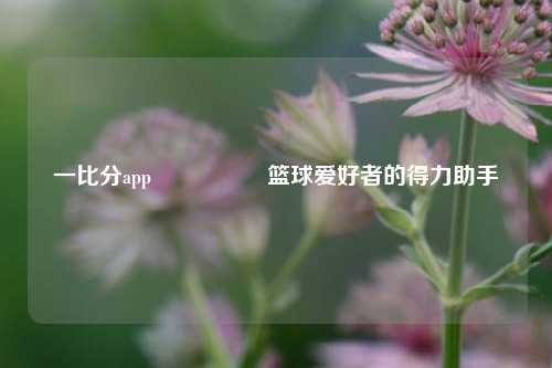 一比分app🎖️篮球爱好者的得力助手