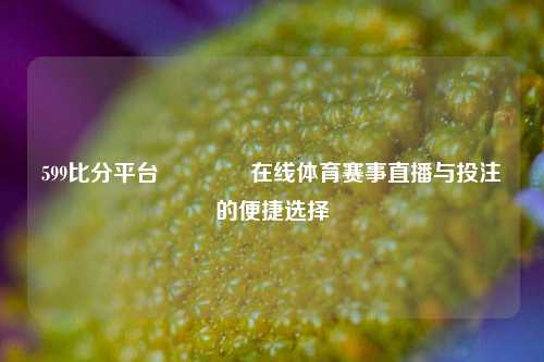 599比分平台👍在线体育赛事直播与投注的便捷选择