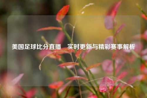 美国足球比分直播⚾实时更新与精彩赛事解析