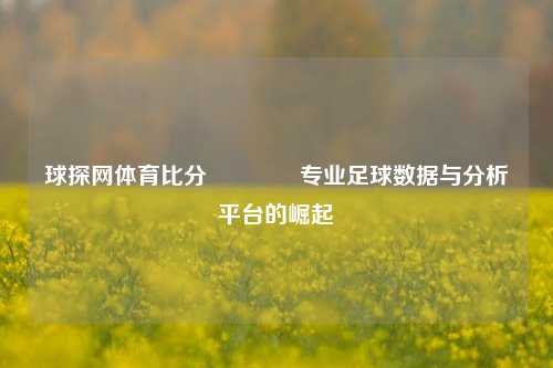 球探网体育比分🏆专业足球数据与分析平台的崛起