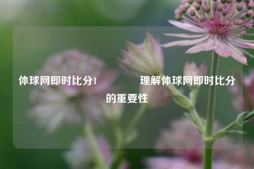 体球网即时比分1🏅理解体球网即时比分的重要性