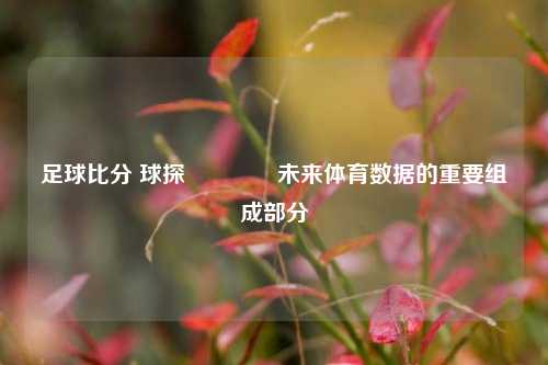 足球比分 球探👉未来体育数据的重要组成部分
