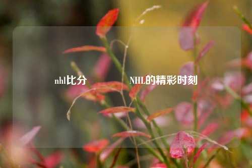 nhl比分🥎NHL的精彩时刻