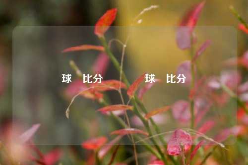 球堔比分🥉球堔比分