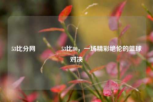 53比分网🏐53比80，一场精彩绝伦的篮球对决