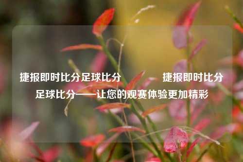 捷报即时比分足球比分🥎捷报即时比分足球比分——让您的观赛体验更加精彩
