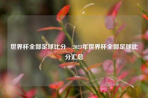 世界杯全部足球比分⚽2023年世界杯全部足球比分汇总