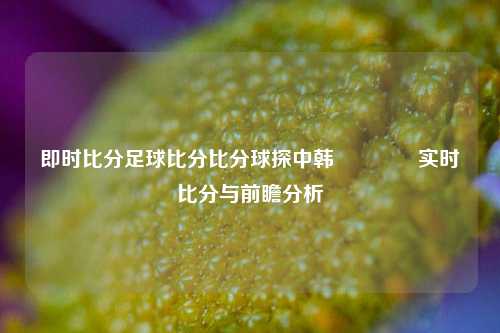 即时比分足球比分比分球探中韩🏐实时比分与前瞻分析