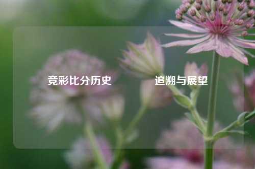 竞彩比分历史🏆追溯与展望