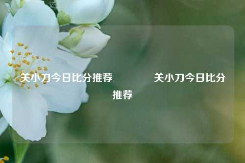 关小刀今日比分推荐🥎关小刀今日比分推荐