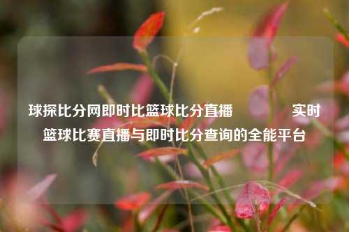 球探比分网即时比篮球比分直播🥎实时篮球比赛直播与即时比分查询的全能平台