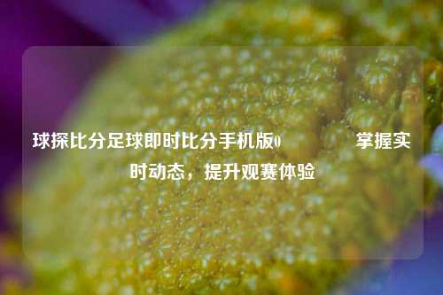 球探比分足球即时比分手机版0🥇掌握实时动态，提升观赛体验