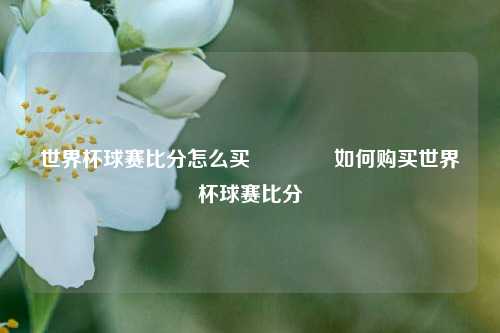 世界杯球赛比分怎么买🌈如何购买世界杯球赛比分