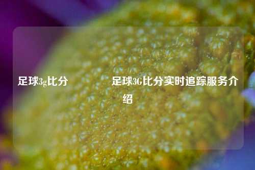 足球3g比分🏆足球3G比分实时追踪服务介绍