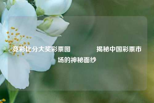 竞彩比分大奖彩票图🏀揭秘中国彩票市场的神秘面纱