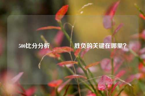 500比分分析🏀胜负的关键在哪里？