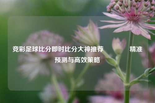 竞彩足球比分即时比分大神推荐🌈精准预测与高效策略