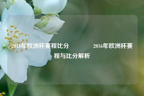 2016年欧洲杯赛程比分👉2016年欧洲杯赛程与比分解析