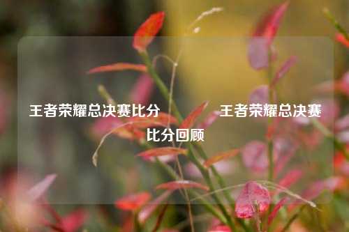 王者荣耀总决赛比分👍王者荣耀总决赛比分回顾