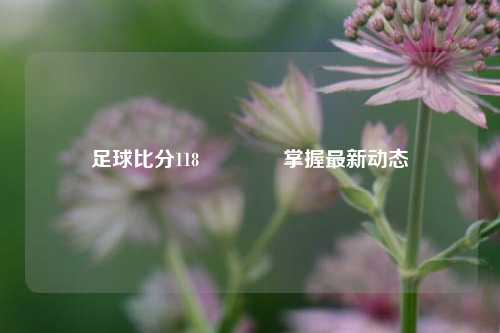 足球比分118👉掌握最新动态