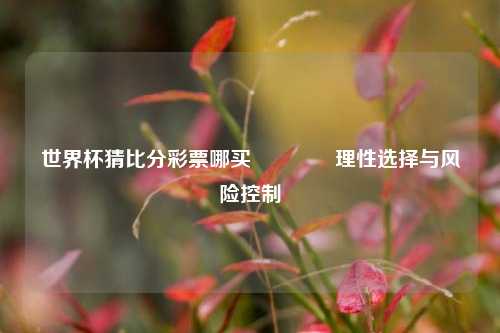 世界杯猜比分彩票哪买🥇理性选择与风险控制