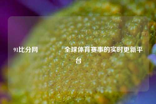 91比分网👈全球体育赛事的实时更新平台