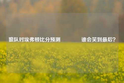 狼队对埃弗顿比分预测🥇谁会笑到最后？