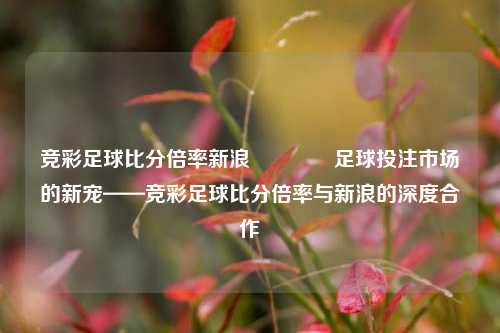 竞彩足球比分倍率新浪🥈足球投注市场的新宠——竞彩足球比分倍率与新浪的深度合作