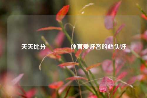 天天比分🥇体育爱好者的心头好