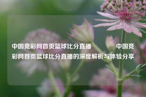 中国竞彩网首页篮球比分直播👉中国竞彩网首页篮球比分直播的深度解析与体验分享