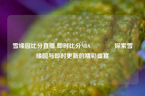 雪缘园比分直播 即时比分NBA🥉探索雪缘园与即时更新的精彩盛宴