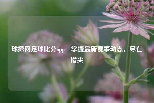 球探网足球比分app⚾掌握最新赛事动态，尽在指尖