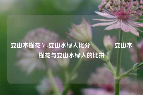 安山木槿花Ⅴs安山水绿人比分👉安山木槿花与安山水绿人的比拼