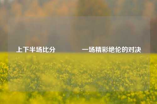 上下半场比分🏆一场精彩绝伦的对决