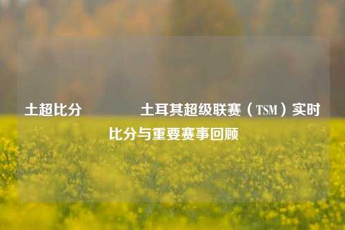土超比分🥉土耳其超级联赛（TSM）实时比分与重要赛事回顾