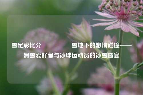 雪足彩比分🎖️雪地下的激情碰撞——滑雪爱好者与冰球运动员的冰雪盛宴