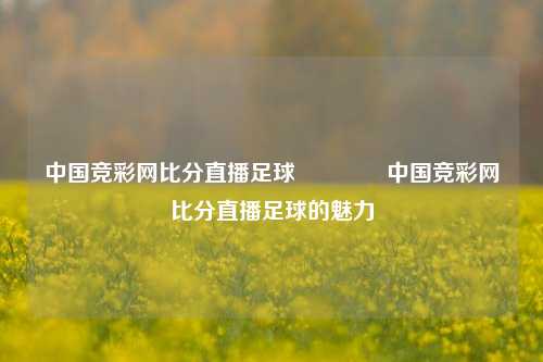 中国竞彩网比分直播足球🥇中国竞彩网比分直播足球的魅力