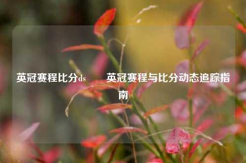 英冠赛程比分ds✌️英冠赛程与比分动态追踪指南