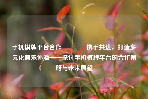 手机棋牌平台合作👈携手共进，打造多元化娱乐体验——探讨手机棋牌平台的合作策略与未来展望