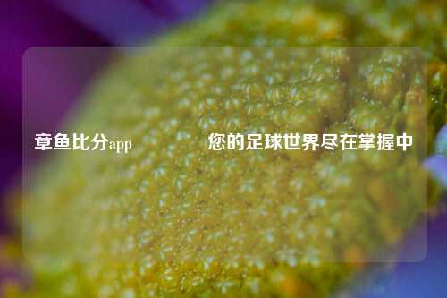 章鱼比分app🥉您的足球世界尽在掌握中
