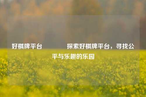好棋牌平台👈探索好棋牌平台，寻找公平与乐趣的乐园