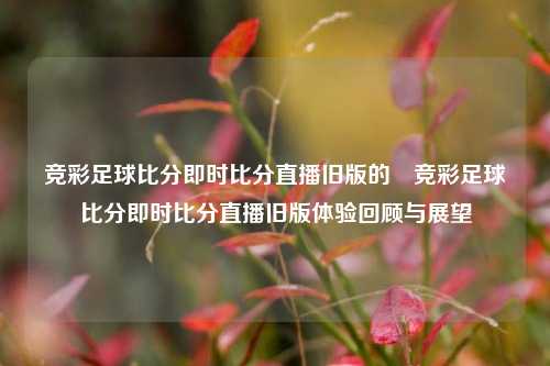 竞彩足球比分即时比分直播旧版的⚾竞彩足球比分即时比分直播旧版体验回顾与展望