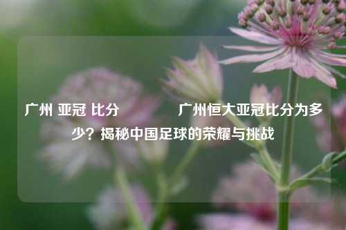 广州 亚冠 比分🥇广州恒大亚冠比分为多少？揭秘中国足球的荣耀与挑战