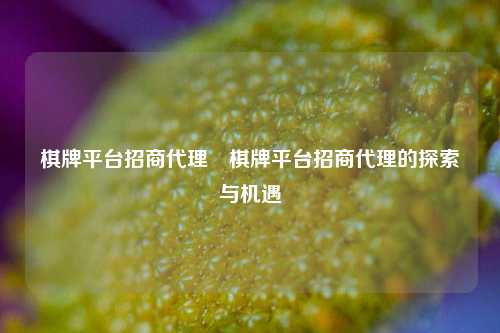 棋牌平台招商代理⚽棋牌平台招商代理的探索与机遇