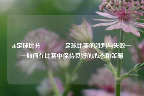sb足球比分🥎足球比赛的胜利与失败——如何在比赛中保持良好的心态和策略